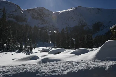 DSC_4955 (Large).JPG